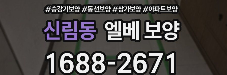 신림동 엘베 보양