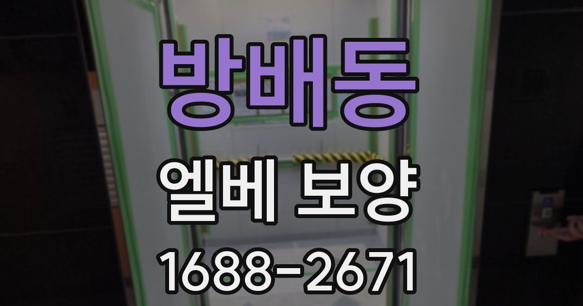 방배동 엘베 보양