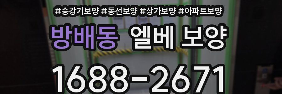 방배동 엘베 보양