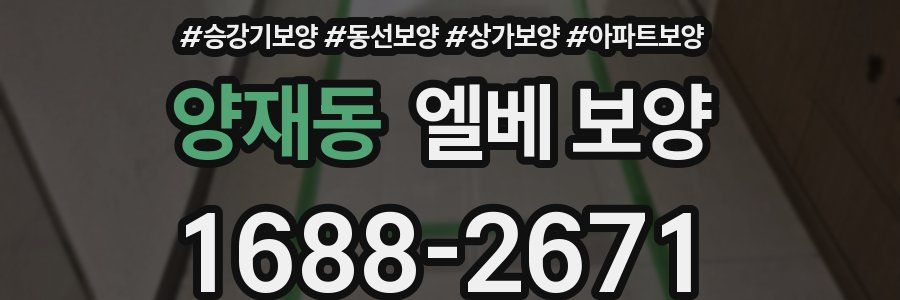 양재동 엘베 보양