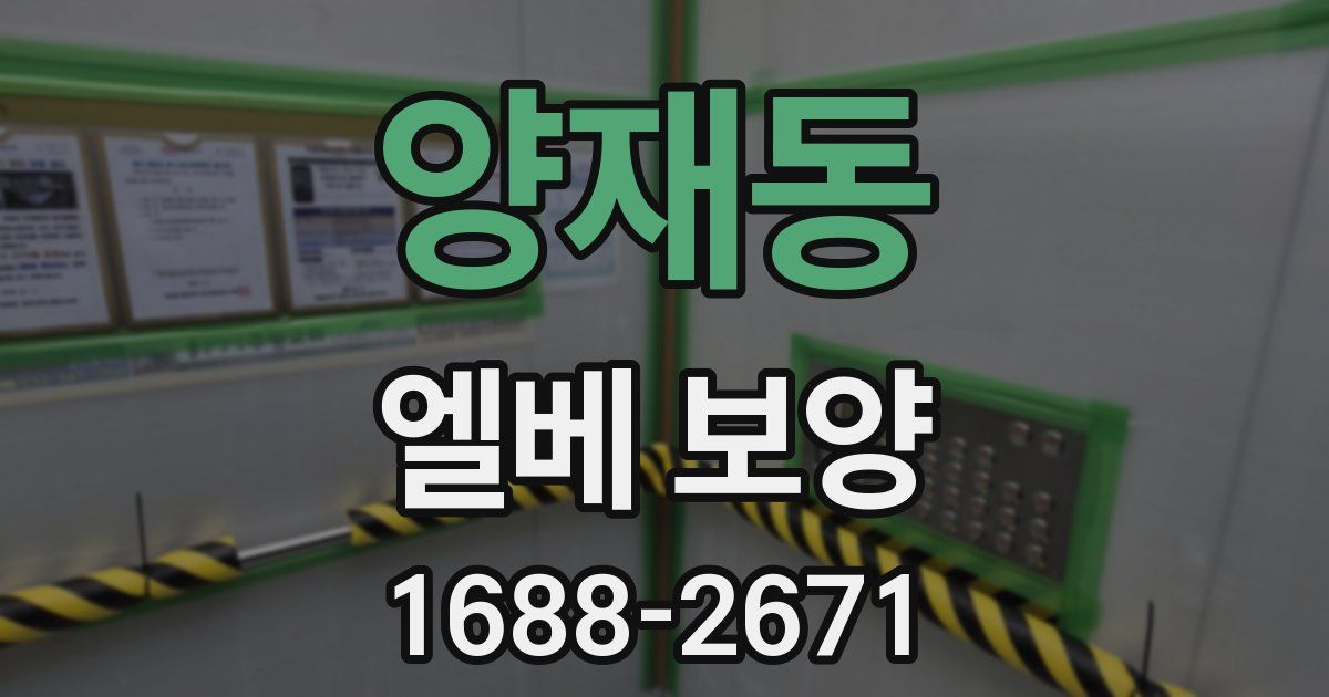 양재동 엘베 보양
