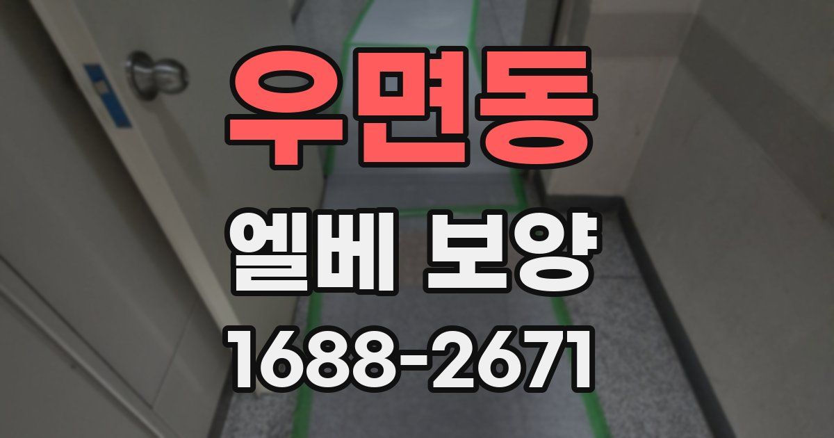 우면동 엘베 보양