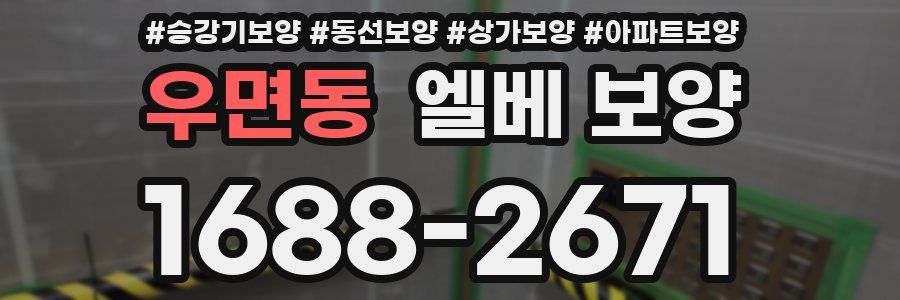 우면동 엘베 보양