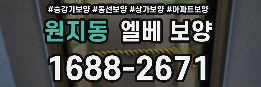 원지동 엘베 보양