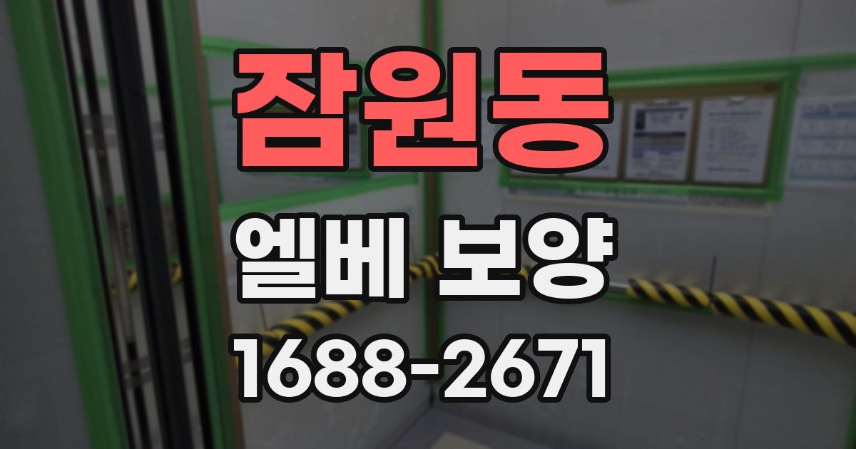 잠원동 엘베 보양