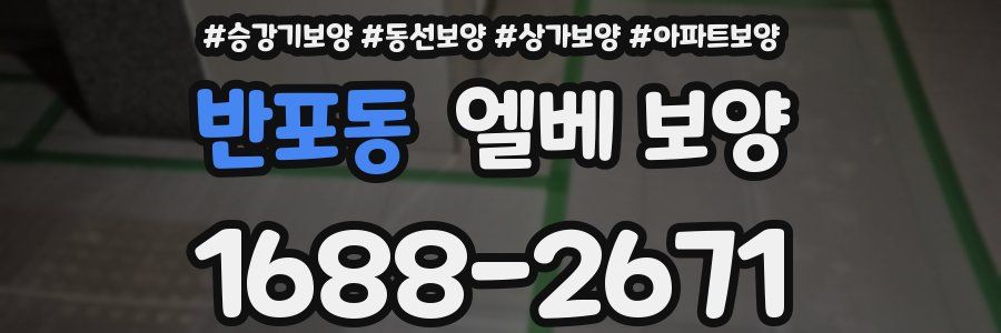 반포동 엘베 보양