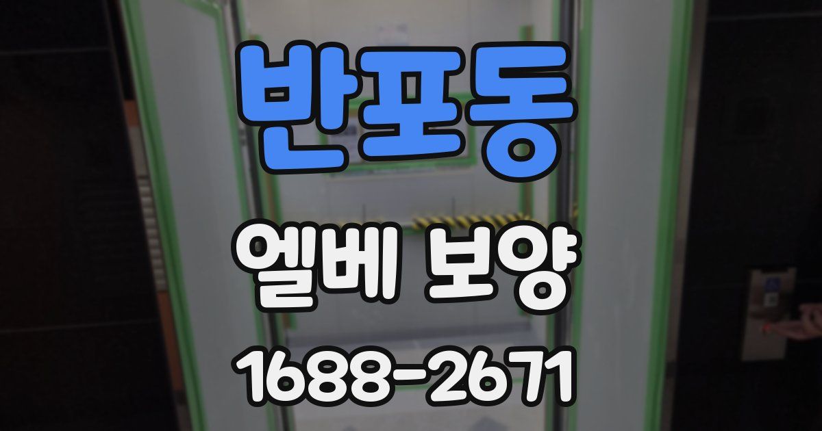 반포동 엘베 보양