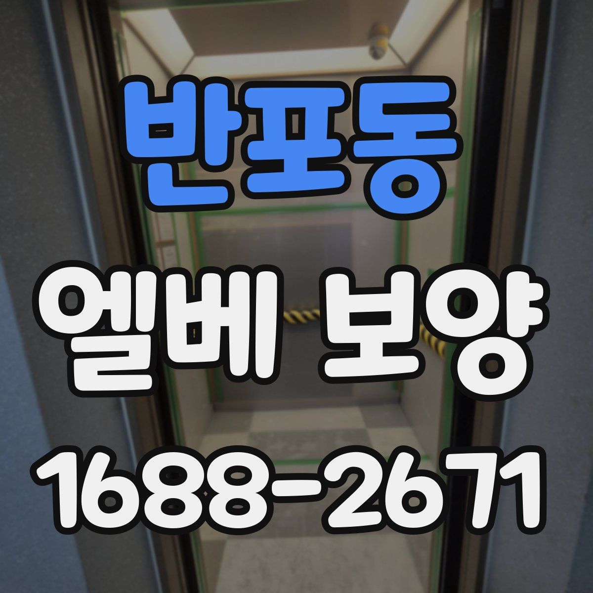 반포동 엘베 보양