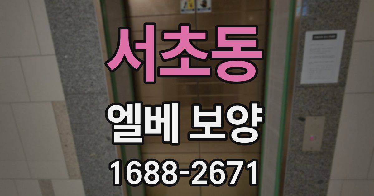 서초동 엘베 보양