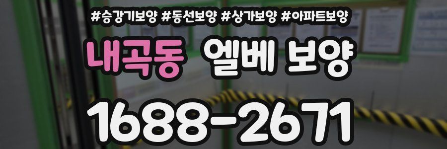 내곡동 엘베 보양