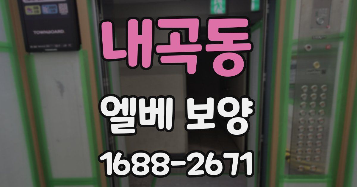내곡동 엘베 보양