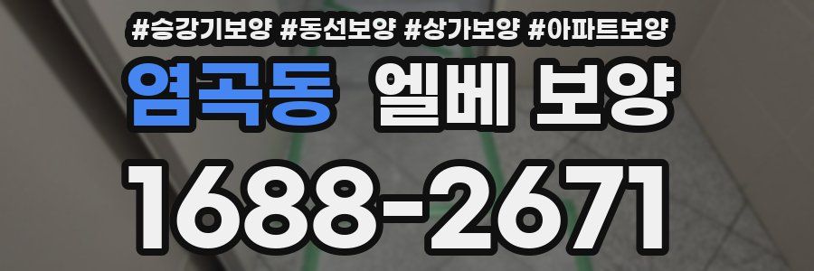염곡동 엘베 보양