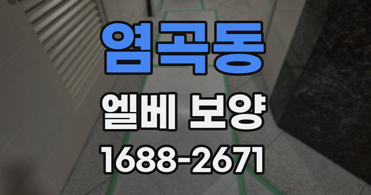 염곡동 엘베 보양