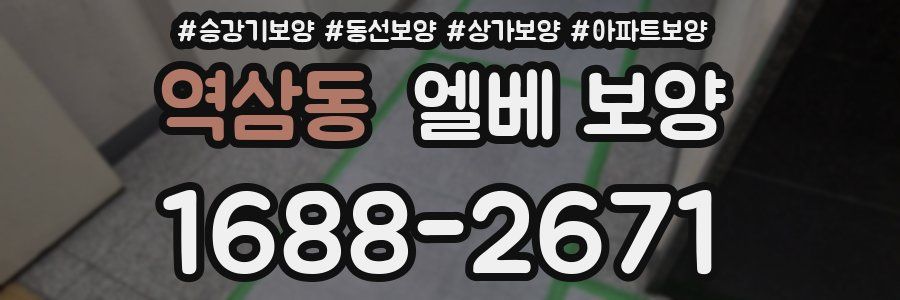 역삼동 엘베 보양