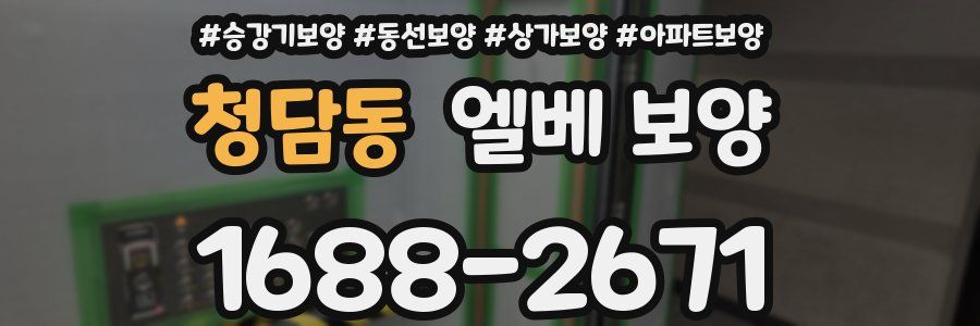 청담동 엘베 보양