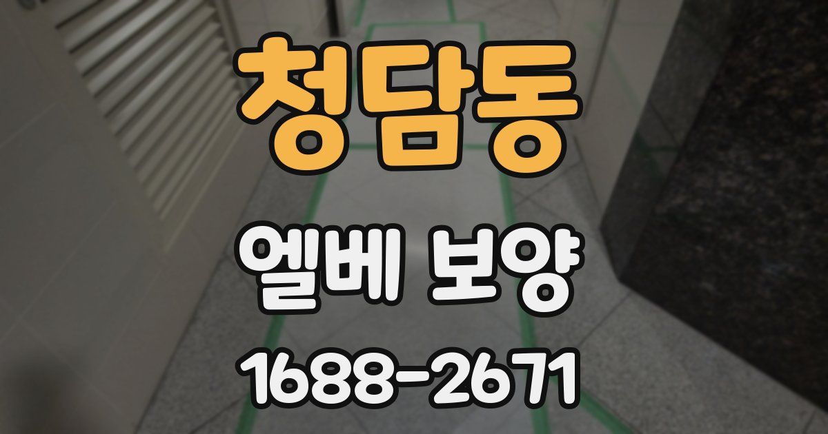 청담동 엘베 보양