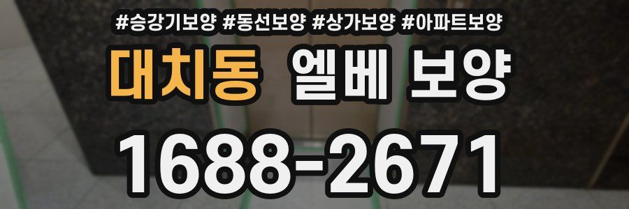 대치동 엘베 보양