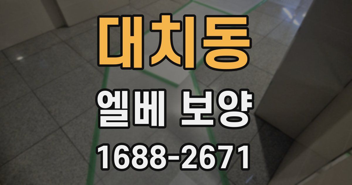 대치동 엘베 보양