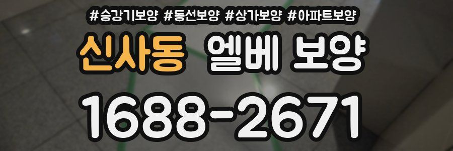 신사동 엘베 보양