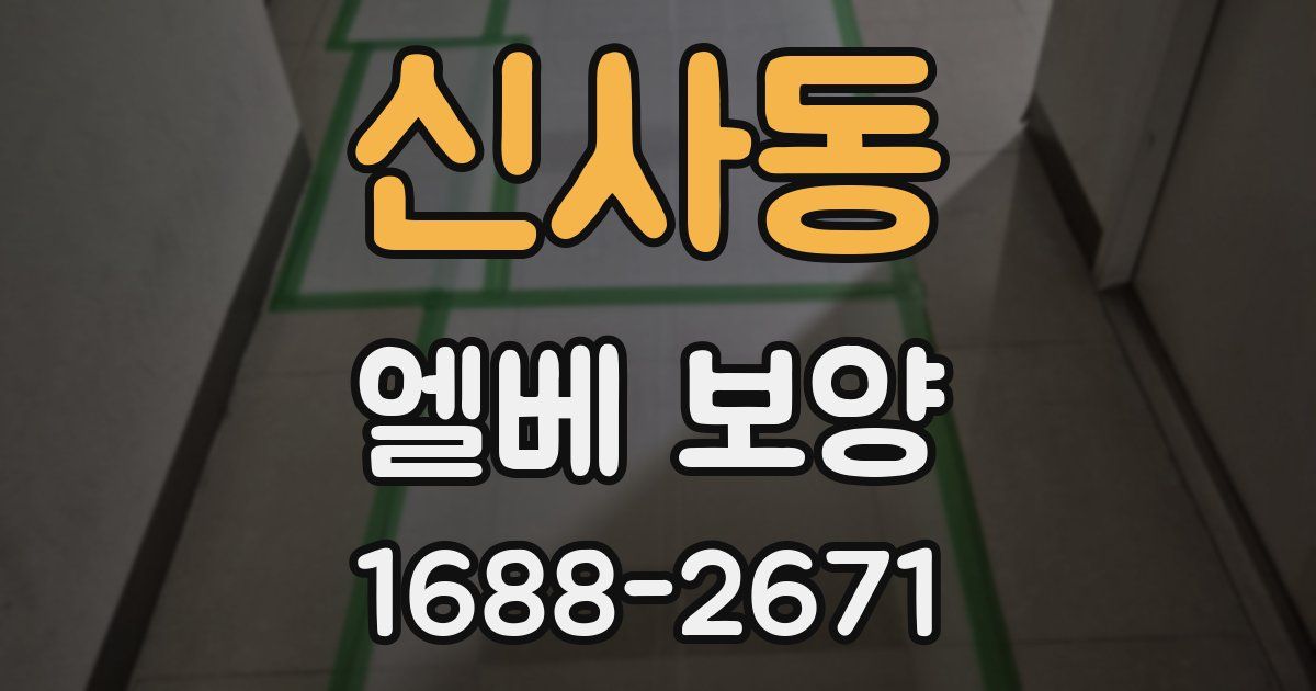 신사동 엘베 보양