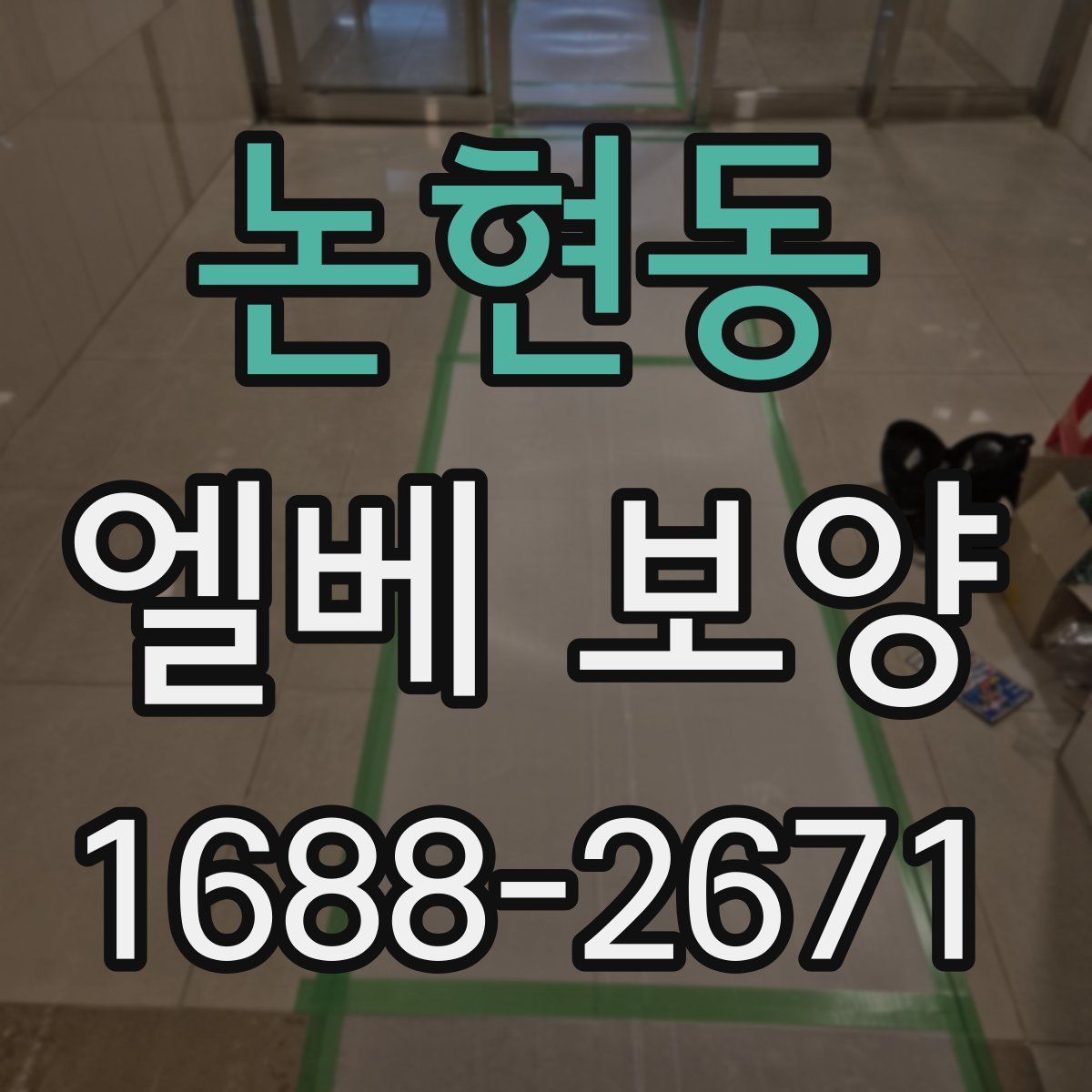 논현동 엘베 보양