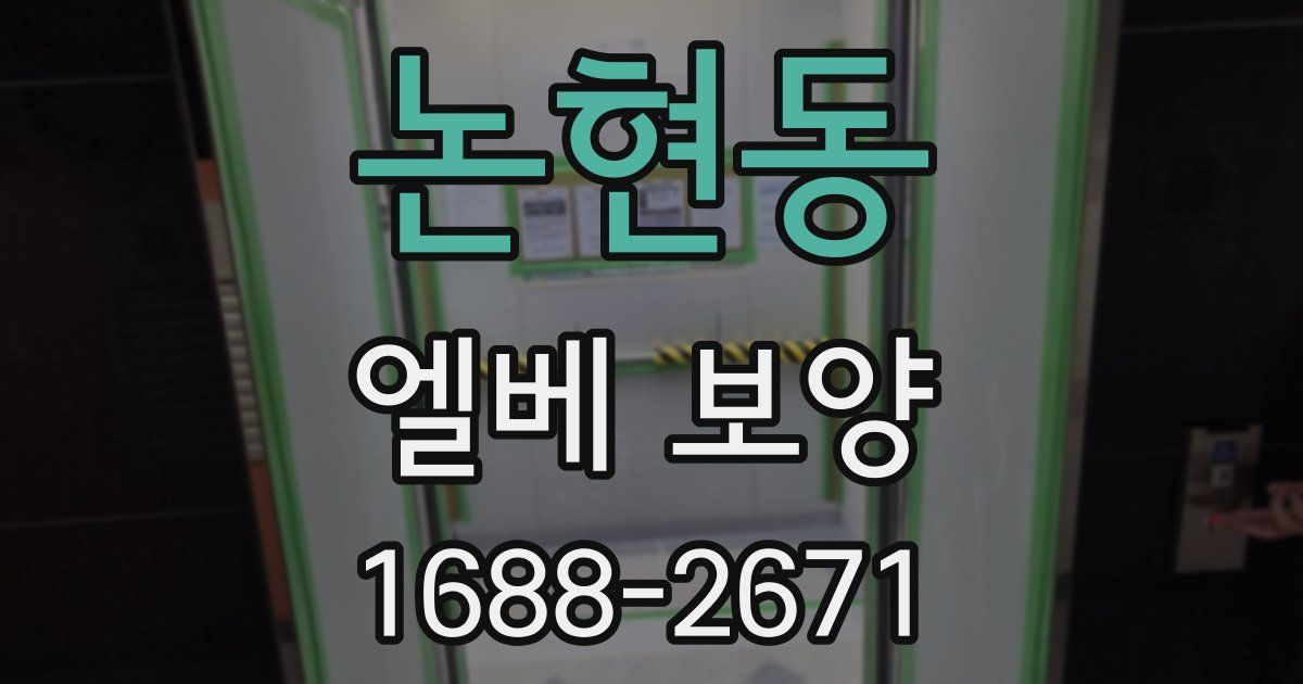 논현동 엘베 보양