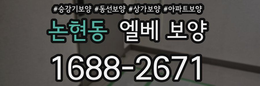 논현동 엘베 보양