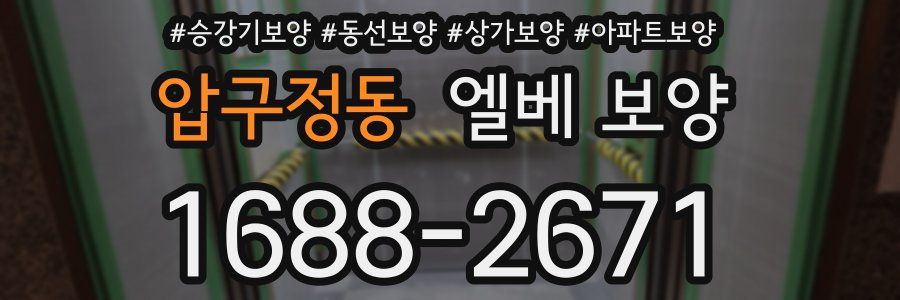압구정동 엘베 보양