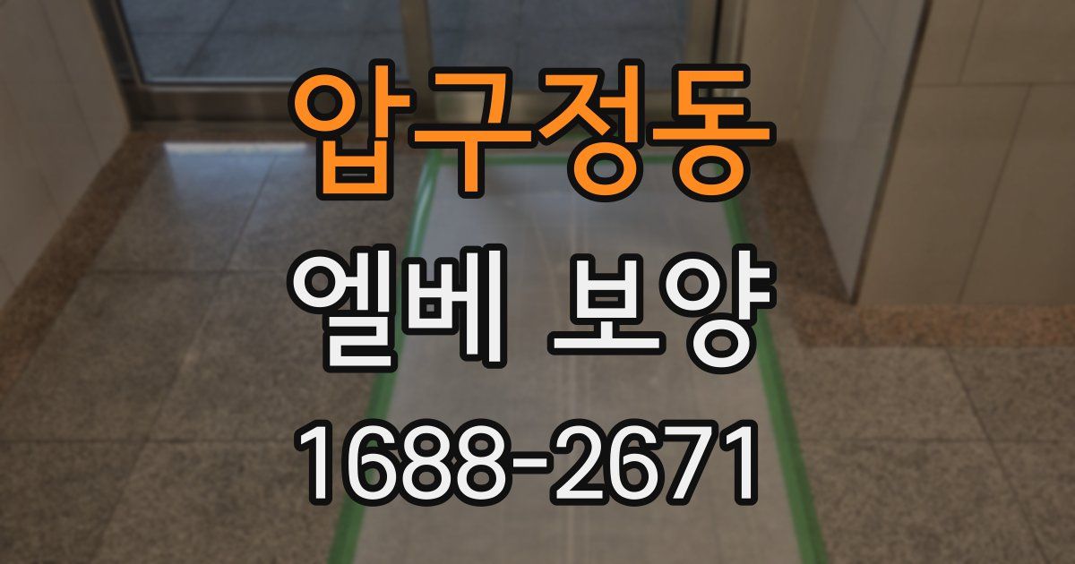 압구정동 엘베 보양