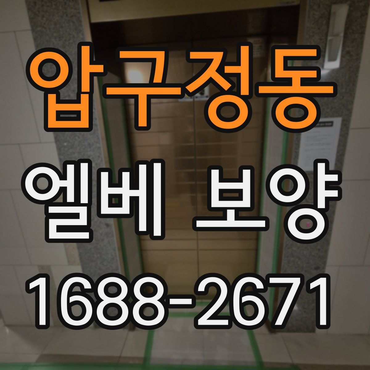 압구정동 엘베 보양