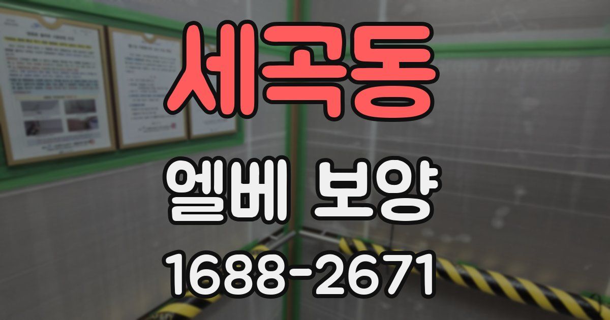 세곡동 엘베 보양