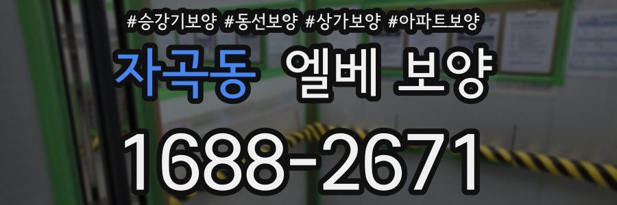 자곡동 엘베 보양
