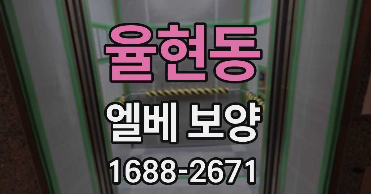 율현동 엘베 보양
