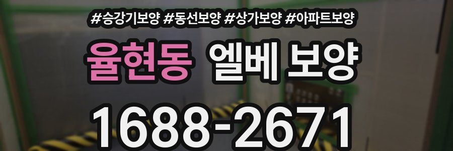 율현동 엘베 보양