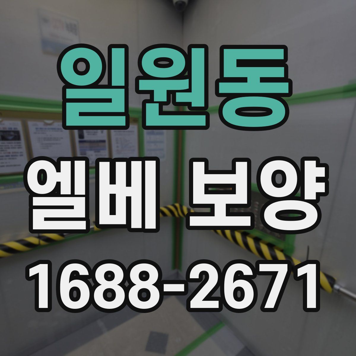 일원동 엘베 보양