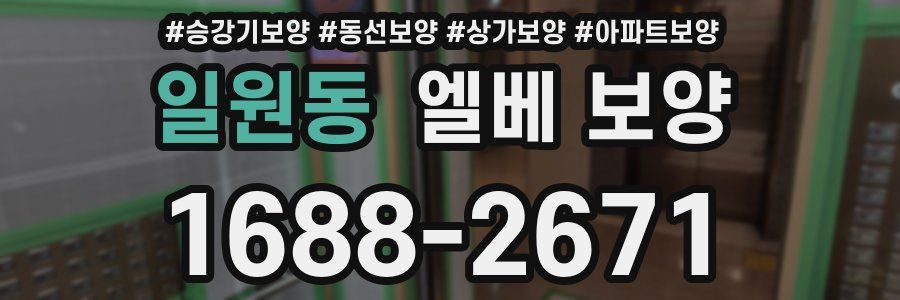 일원동 엘베 보양