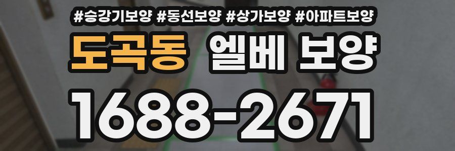 도곡동 엘베 보양