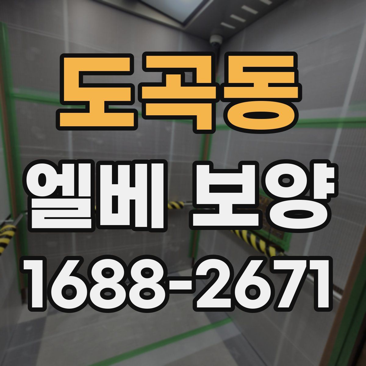 도곡동 엘베 보양