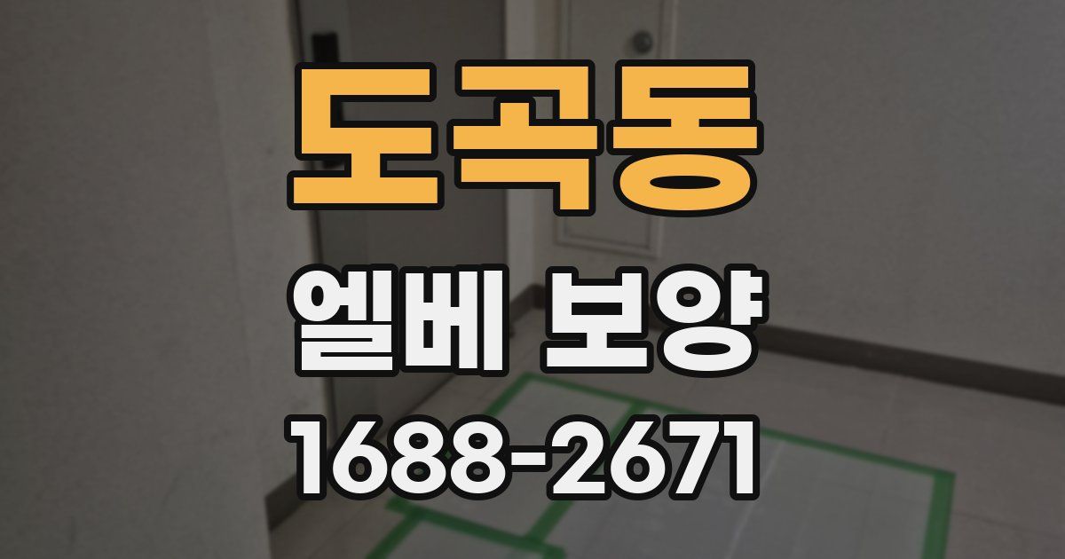 도곡동 엘베 보양