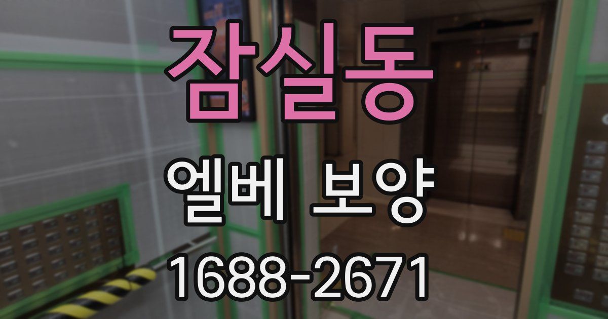 잠실동 엘베 보양