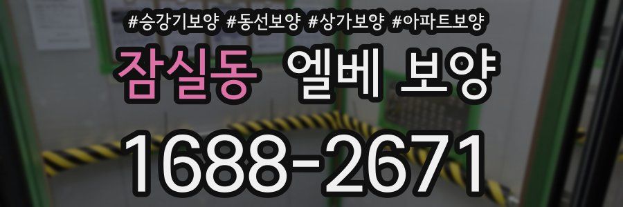 잠실동 엘베 보양