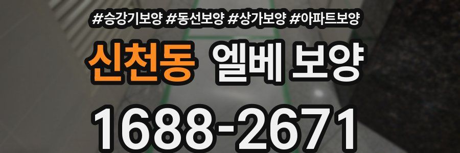신천동 엘베 보양
