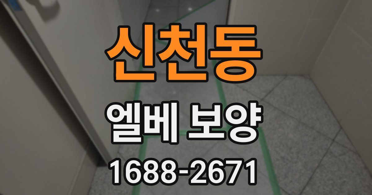 신천동 엘베 보양