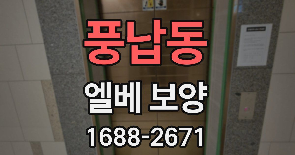 풍납동 엘베 보양