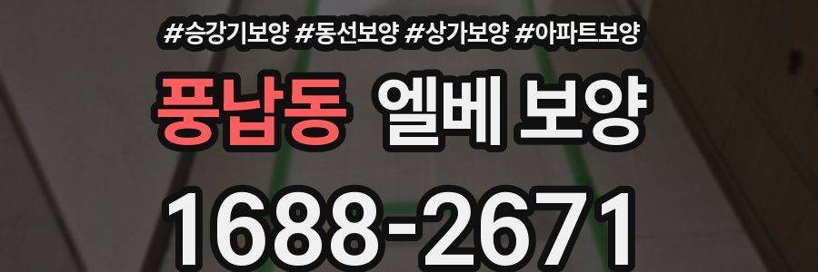풍납동 엘베 보양