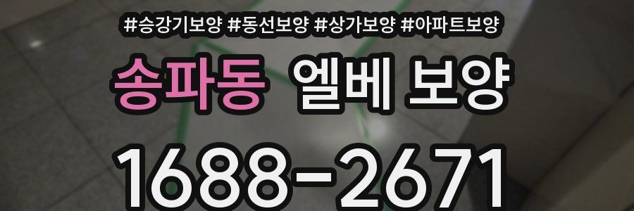송파동 엘베 보양