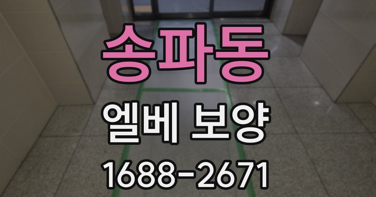 송파동 엘베 보양