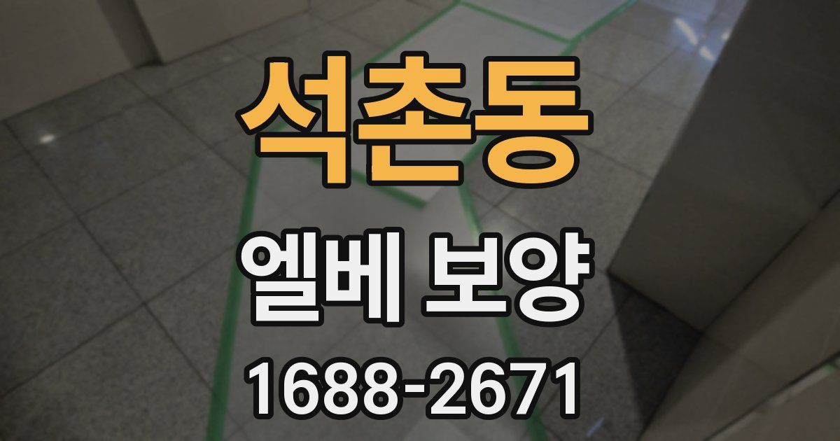 석촌동 엘베 보양
