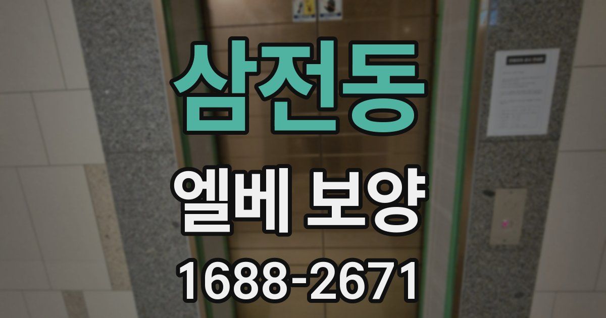 삼전동 엘베 보양