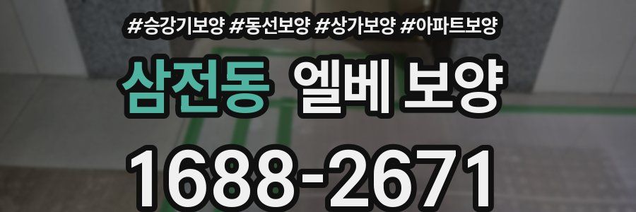삼전동 엘베 보양